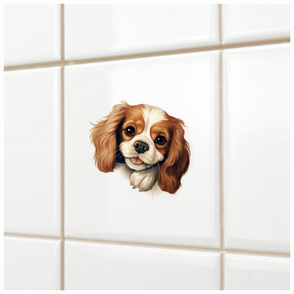 Brown White Dog Cavalier Spaniel Vinyl Sticker Decal