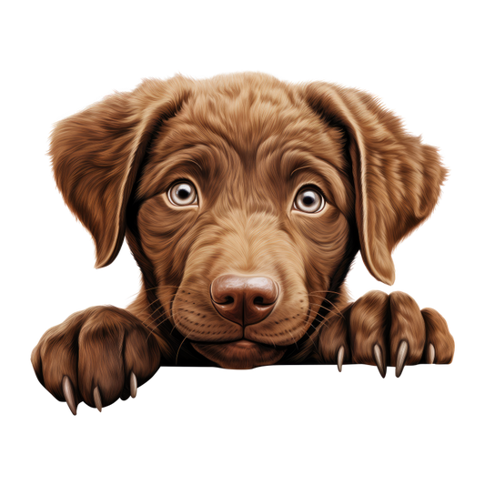 Brown Puppy Labrador Paw Cute Vinyl Sticker Decal