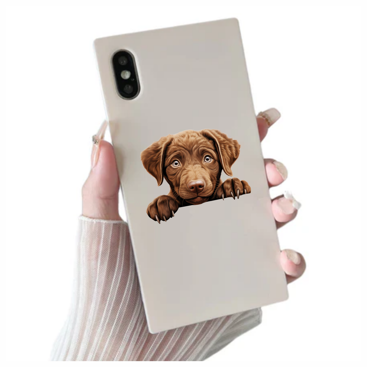 Brown Puppy Labrador Paw Cute Vinyl Sticker Decal