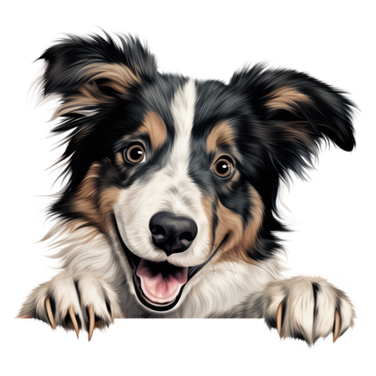 Black White Brown Dog Collie Vinyl Sticker Decal