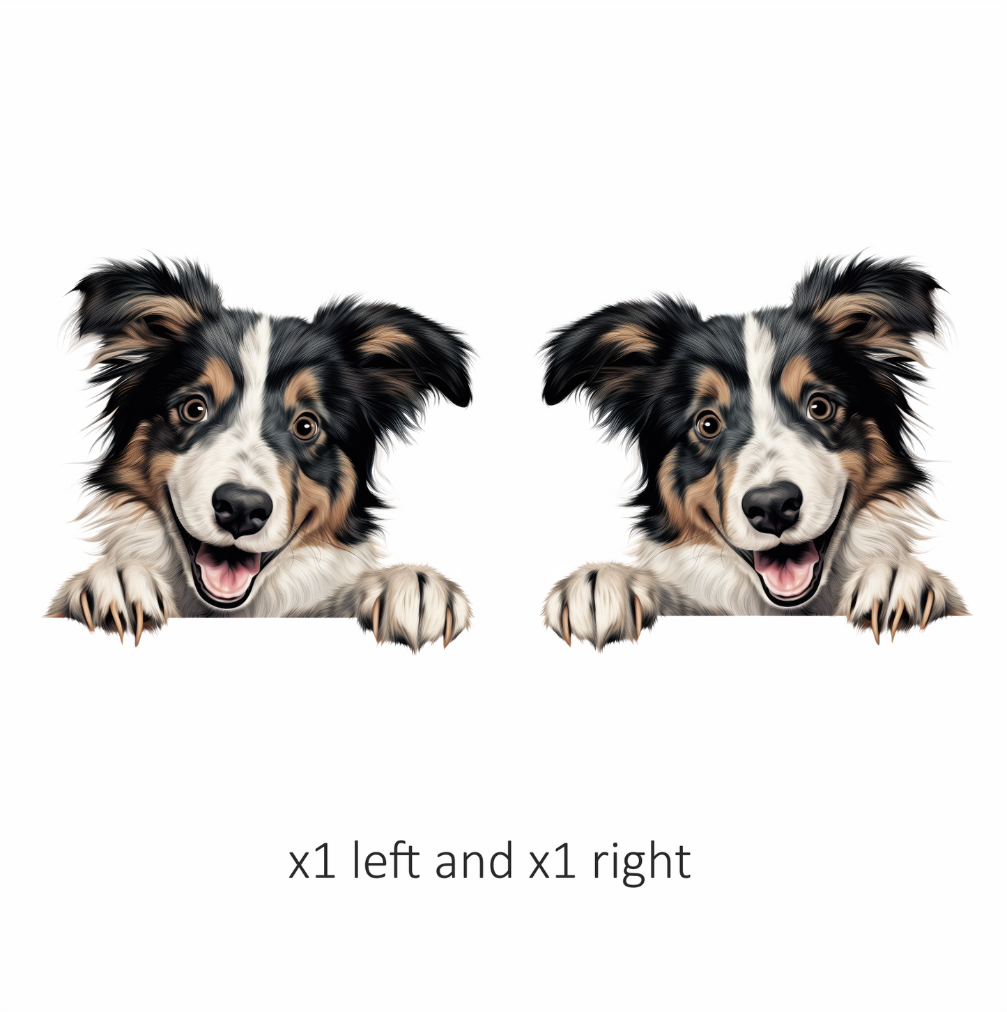 Black White Brown Dog Collie Vinyl Sticker Decal