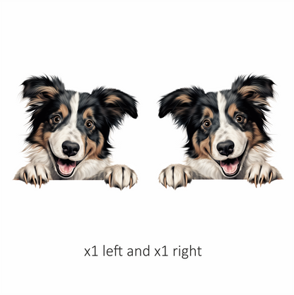 Black White Brown Dog Collie Vinyl Sticker Decal