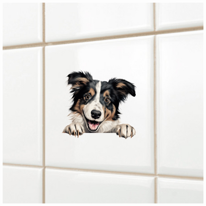 Black White Brown Dog Collie Vinyl Sticker Decal
