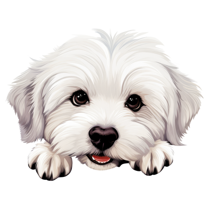 White Puppy Maltese Dog Face Vinyl Sticker Decal