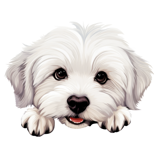 White Puppy Maltese Dog Face Vinyl Sticker Decal