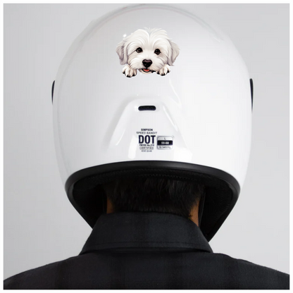 White Puppy Maltese Dog Face Vinyl Sticker Decal