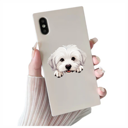 White Puppy Maltese Dog Face Vinyl Sticker Decal