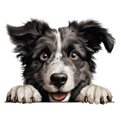 Black White Border Collie Dog Face Vinyl Sticker Decal