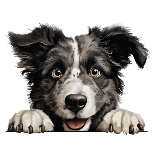 Black White Border Collie Dog Face Vinyl Sticker Decal