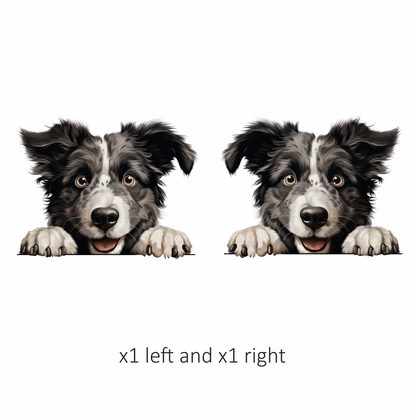 Black White Border Collie Dog Face Vinyl Sticker Decal