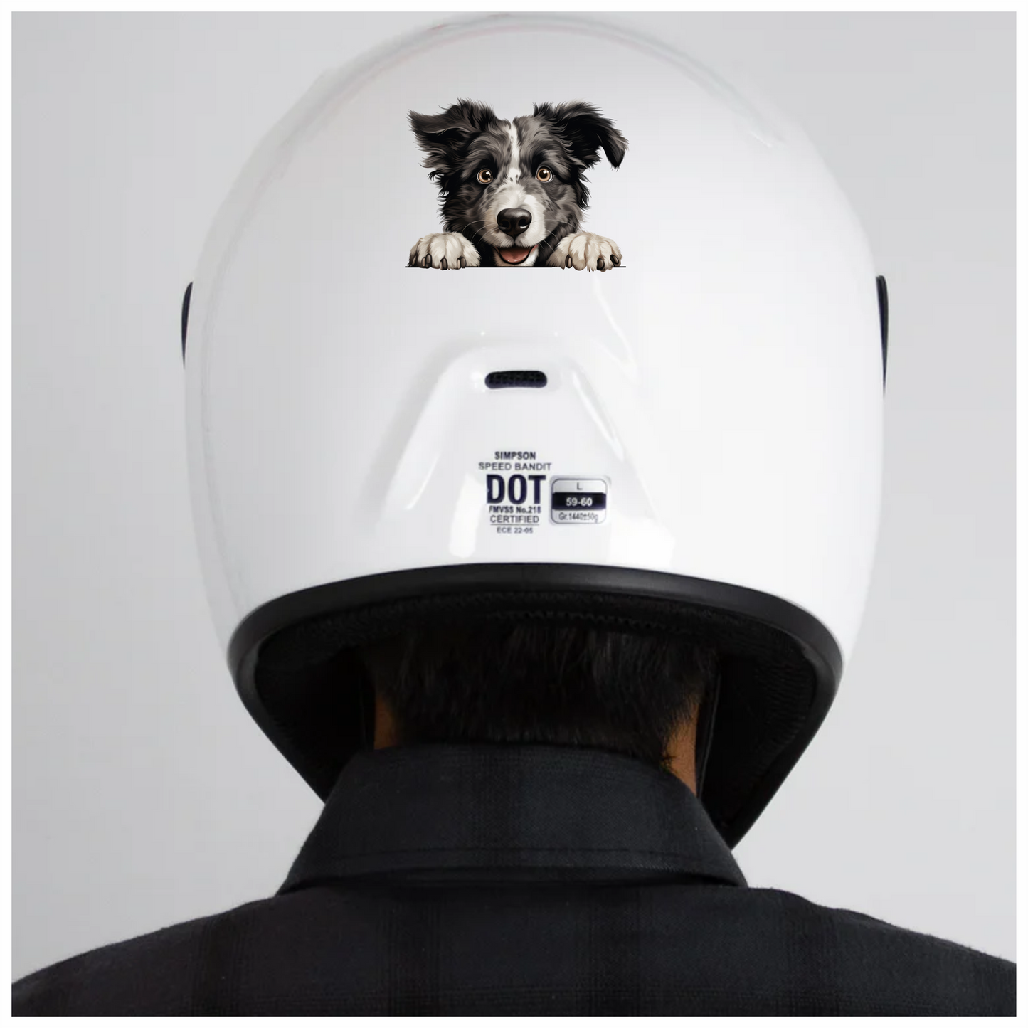 Black White Border Collie Dog Face Vinyl Sticker Decal