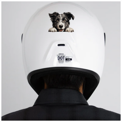 Black White Border Collie Dog Face Vinyl Sticker Decal