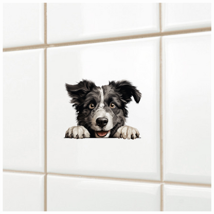 Black White Border Collie Dog Face Vinyl Sticker Decal