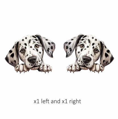 White Dog Dalmatian Puppy Cute Vinyl Sticker Decal