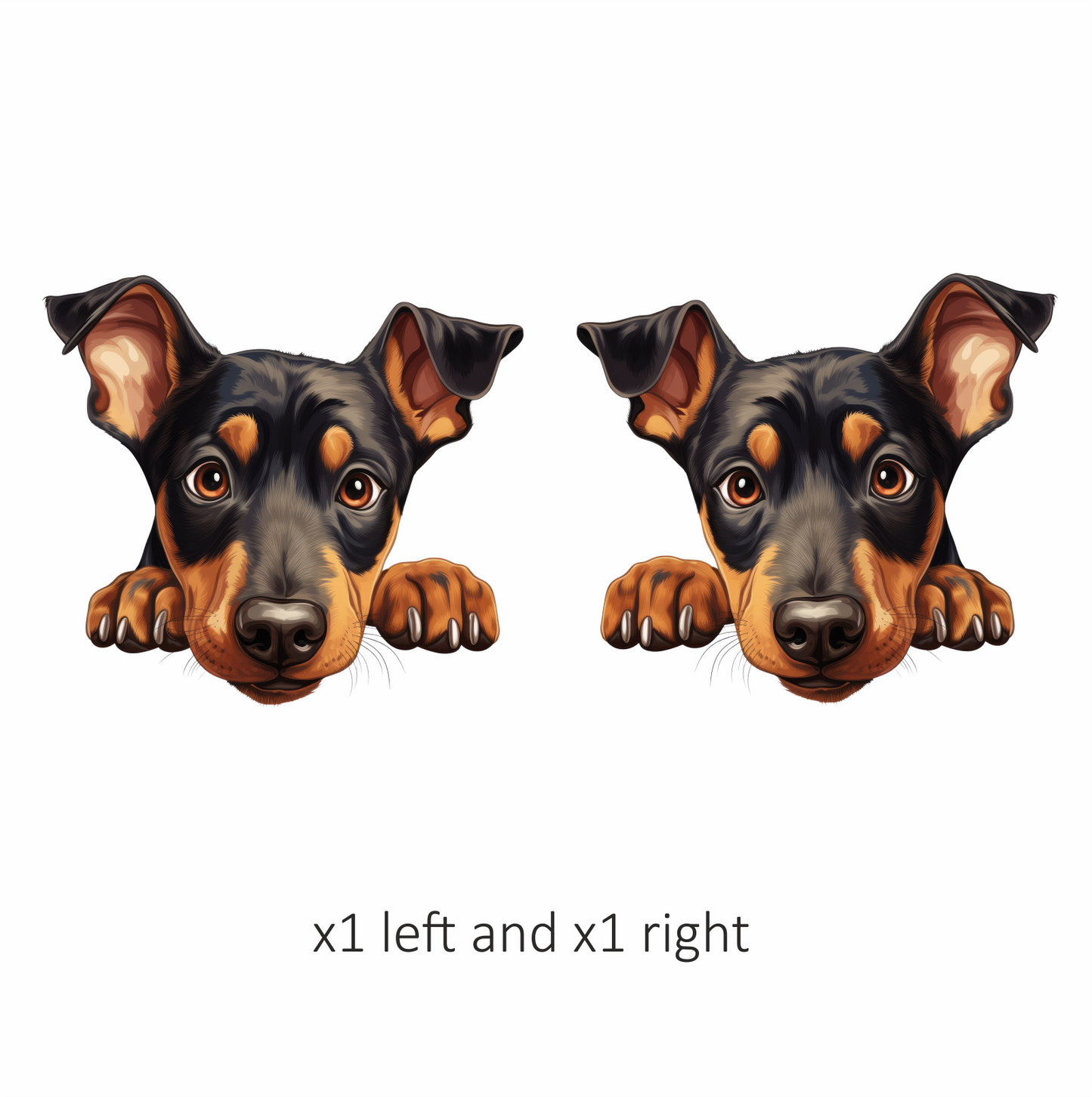 Black Brown Dog Rottweiler Face Vinyl Sticker Decal