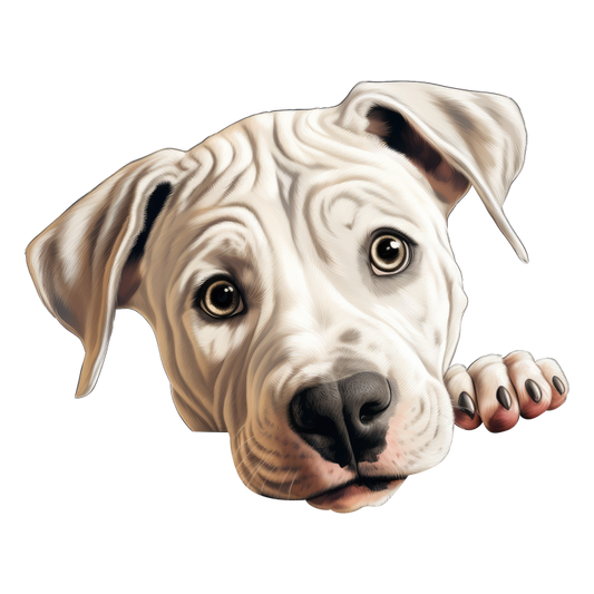 White Dog Puppy Pitbull Cute Vinyl Sticker Decal