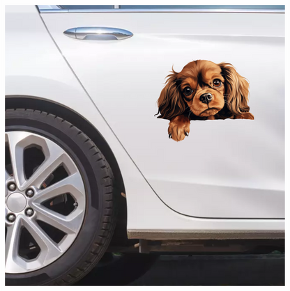 Brown Dog Cavalier King Charles Vinyl Sticker Decal