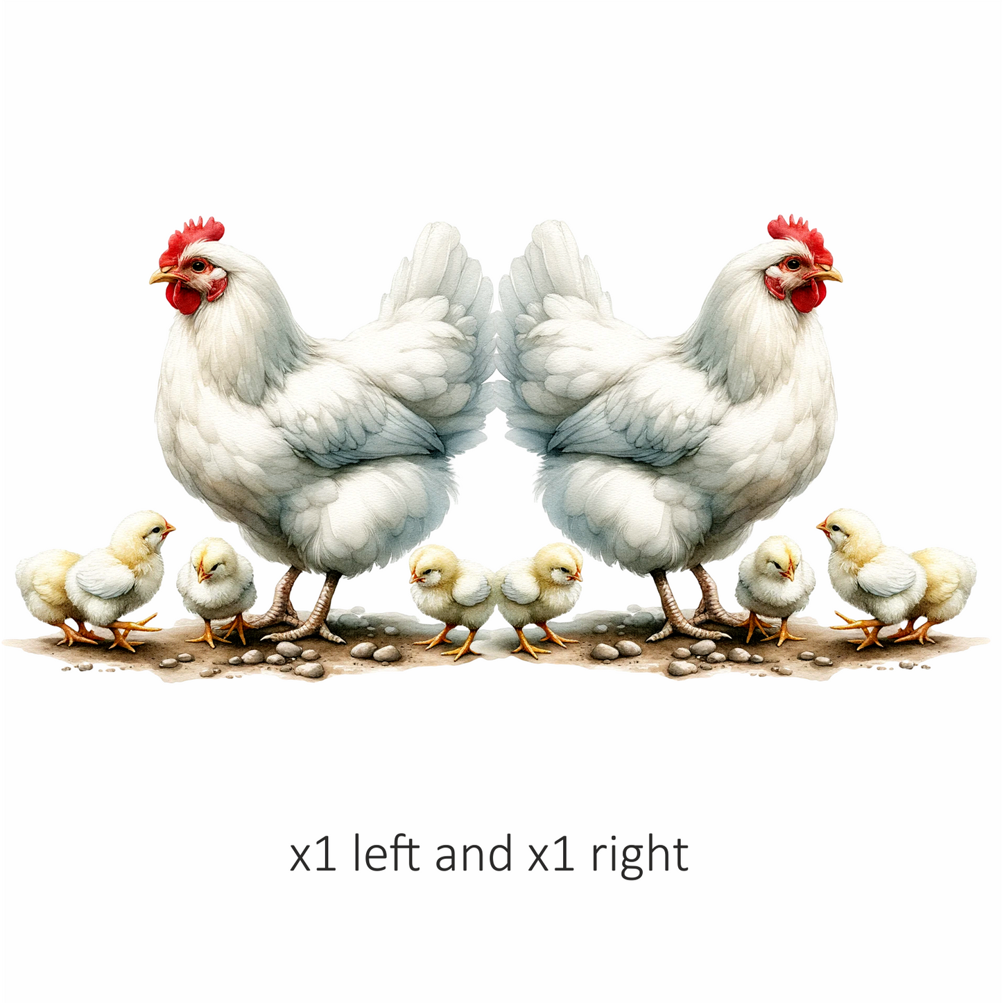 White Hen Chicks Farmyard Poultry Vinyl Sticker Decal