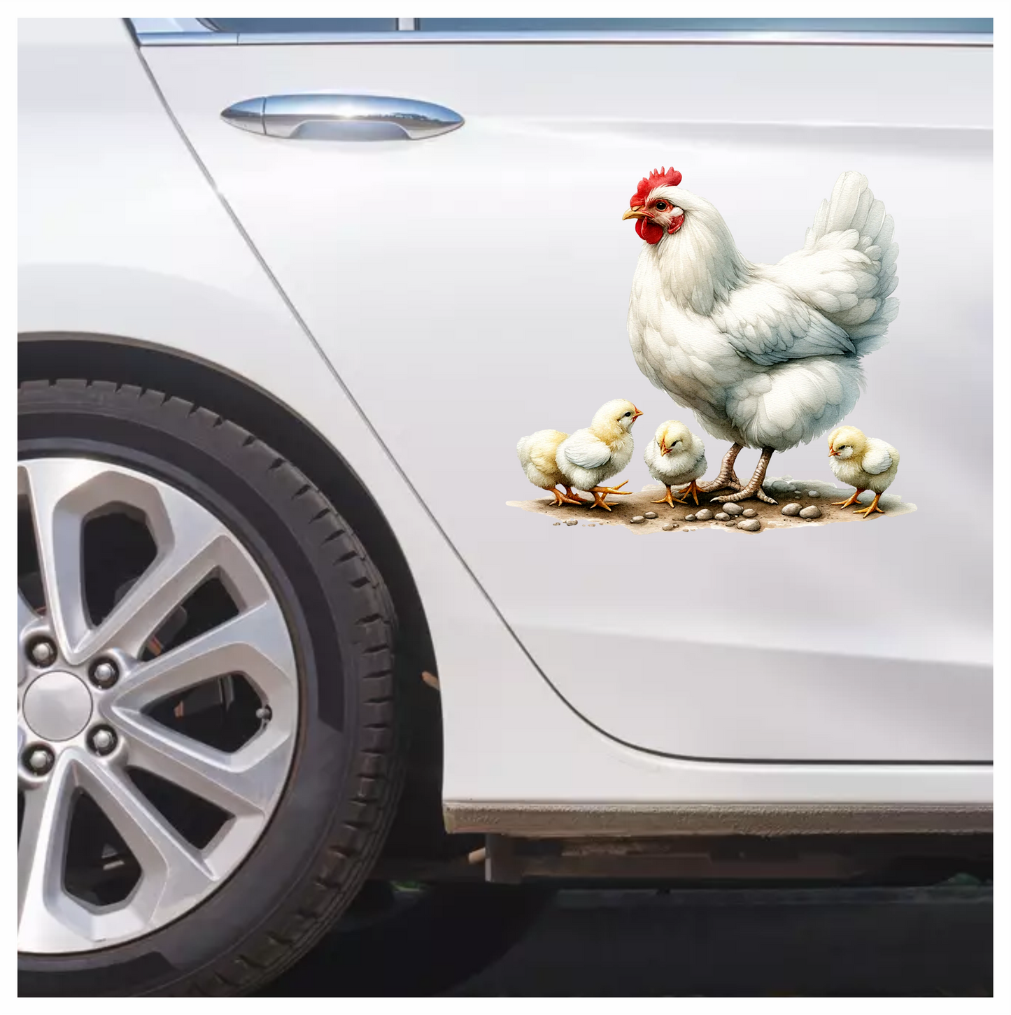 White Hen Chicks Farmyard Poultry Vinyl Sticker Decal