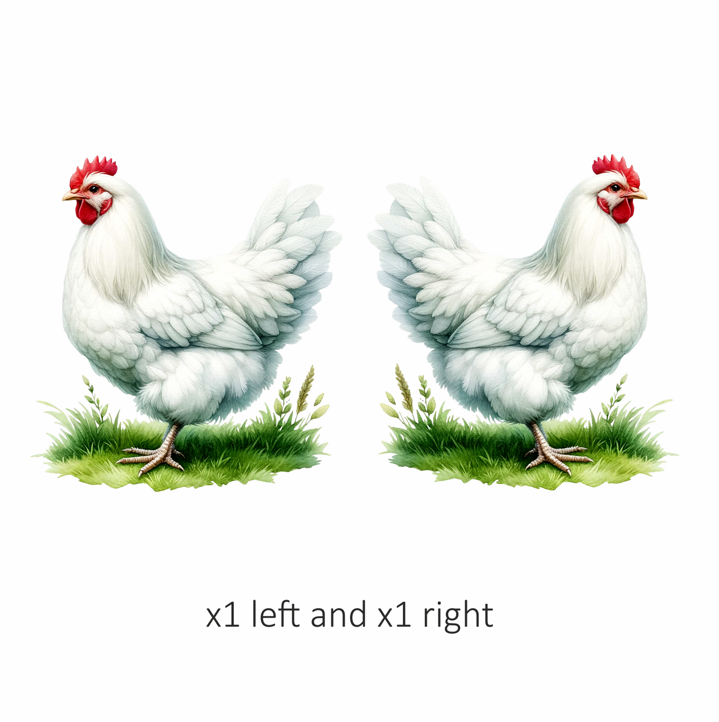 White Chicken Farm Hen Grass Vinyl Sticker Decal