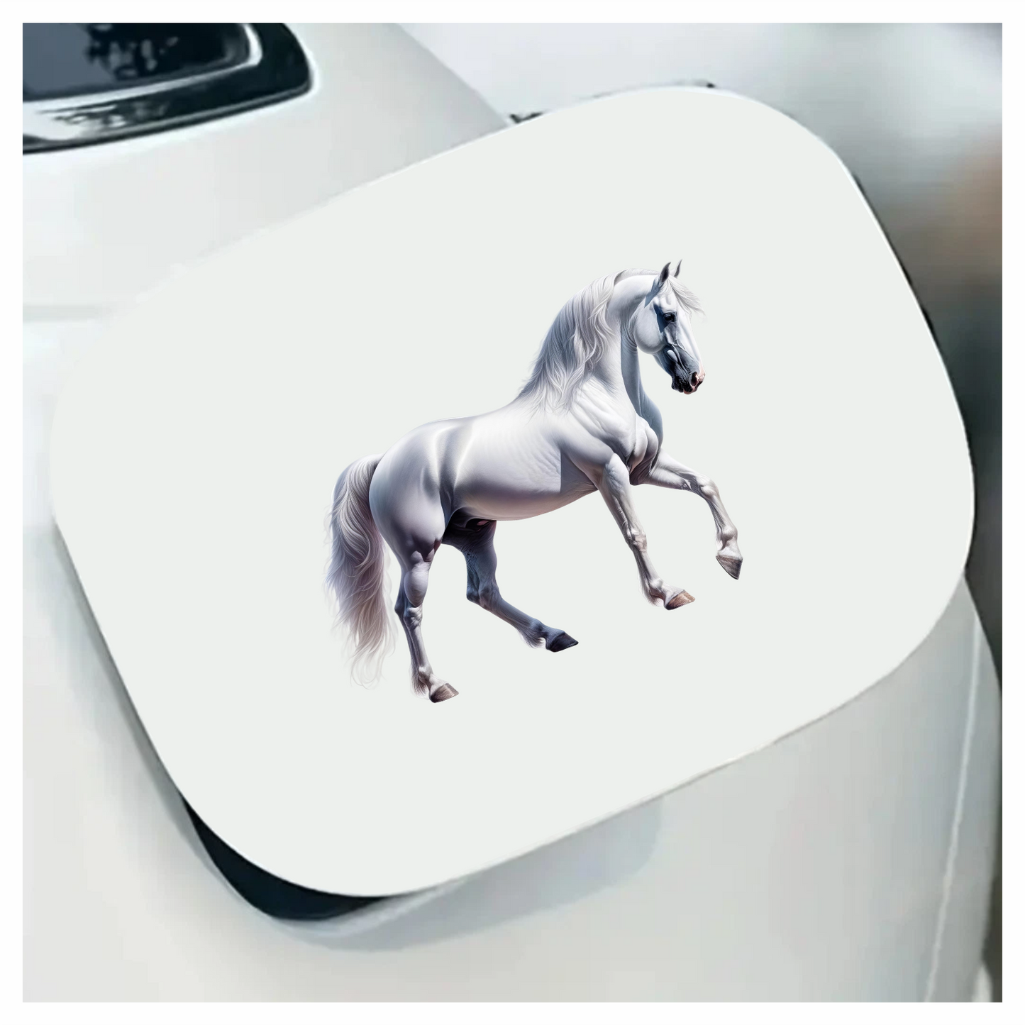 White Horse Andalusian Strong Graceful Elegant Vinyl Sticker Decal