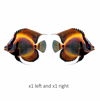 Orange Fish Butterfly Marine Tropical Vinyl Sticker Decal