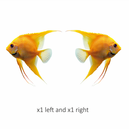 Orange Fish Freshwater Angelfish Side Vinyl Sticker Decal