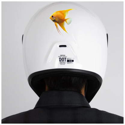 Orange Fish Freshwater Angelfish Side Vinyl Sticker Decal