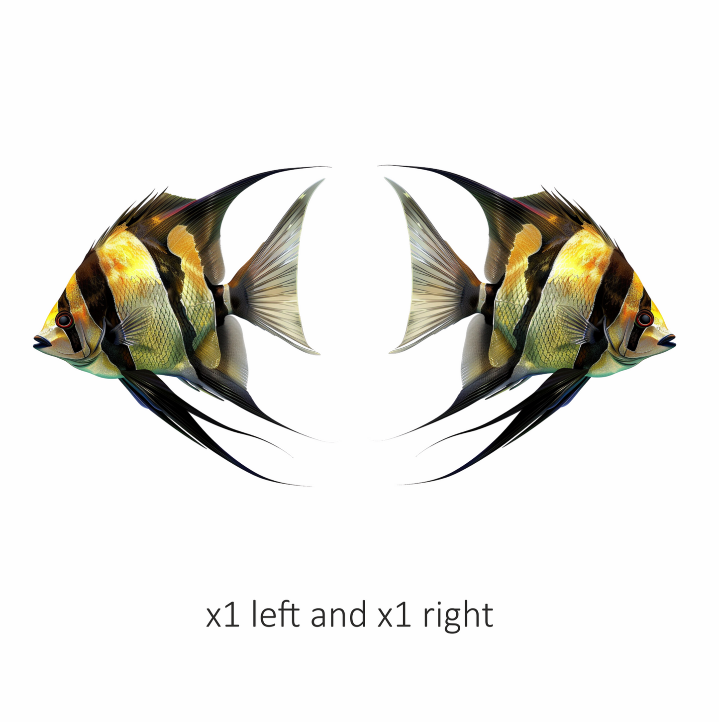 Yellow Fish Freshwater Angelfish Side Vinyl Sticker Decal