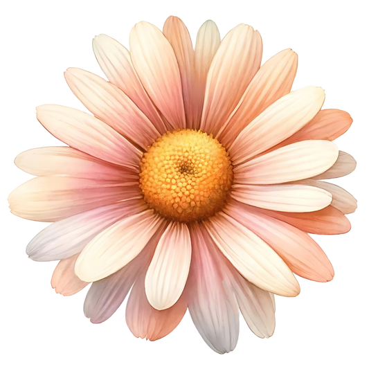 Pink White Yellow Daisy Flower Vinyl Sticker Decal