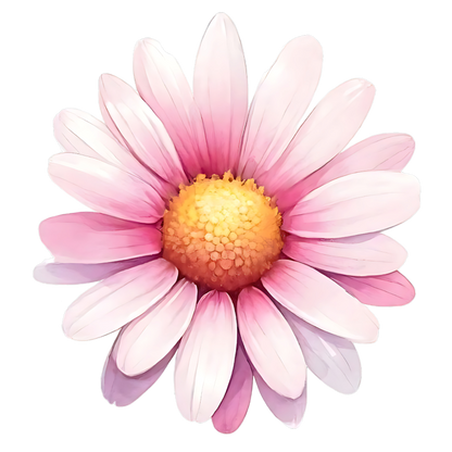 Pink White Daisy Flower Bloom Vinyl Sticker Decal
