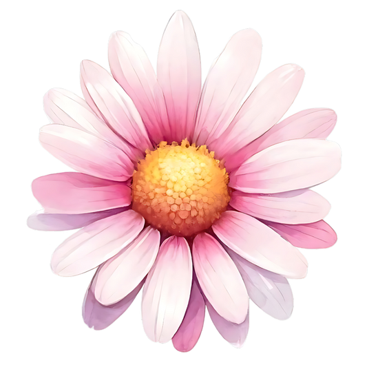 Pink White Daisy Flower Bloom Vinyl Sticker Decal