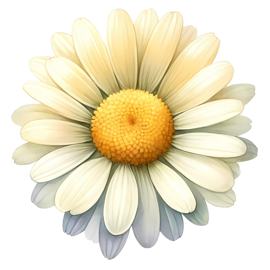 White Yellow Daisy Flower Bloom Vinyl Sticker Decal