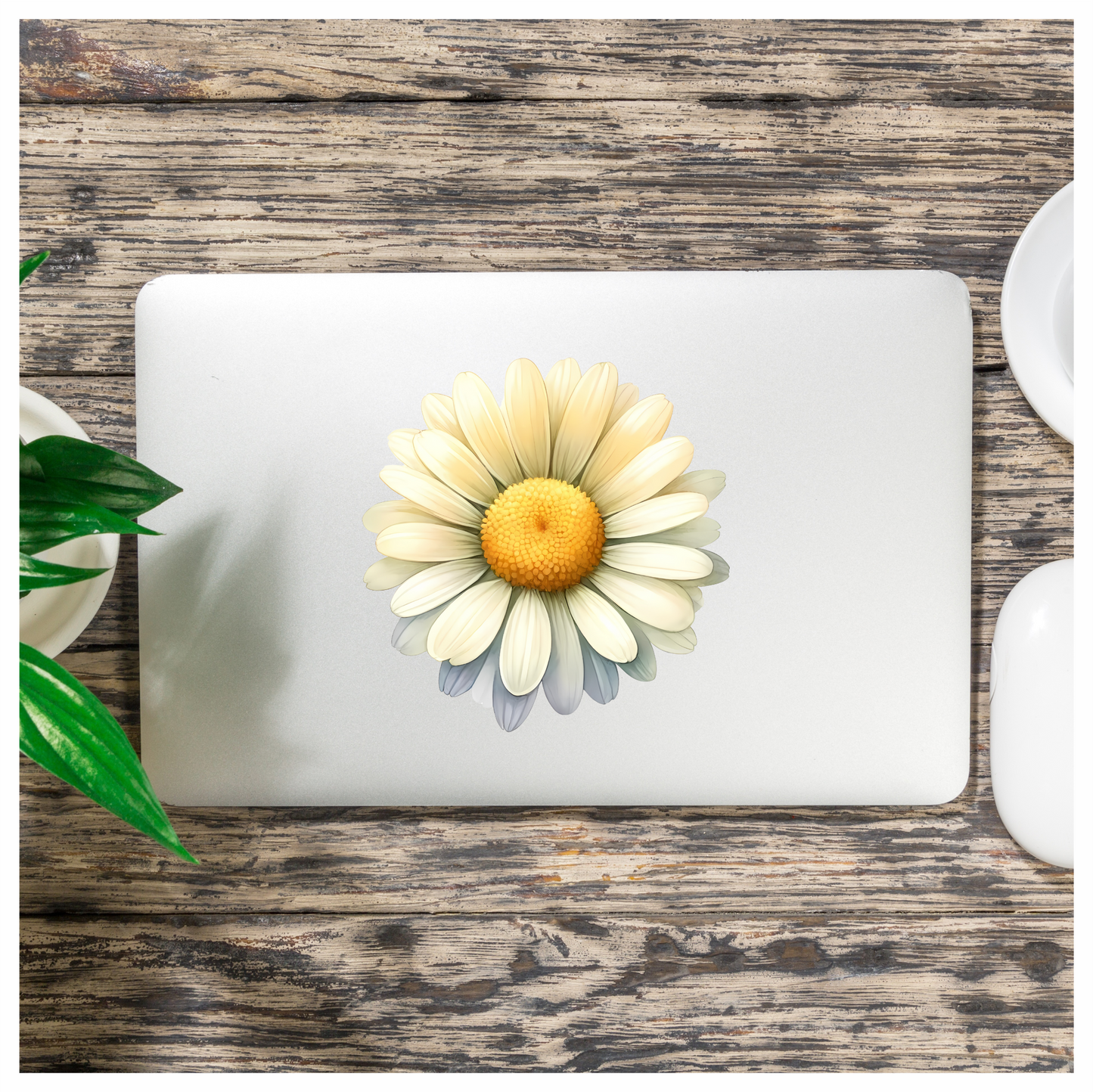 White Yellow Daisy Flower Bloom Vinyl Sticker Decal