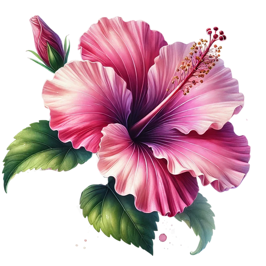 Pink Hibiscus Flower Green Leaves Vinyl Sticker Decal