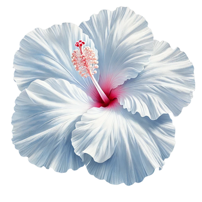 White Hibiscus Flower With Red Vinyl Sticker Decal