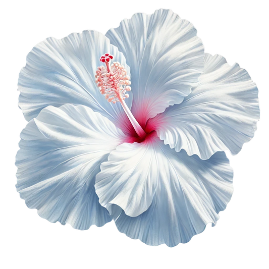 White Hibiscus Flower With Red Vinyl Sticker Decal