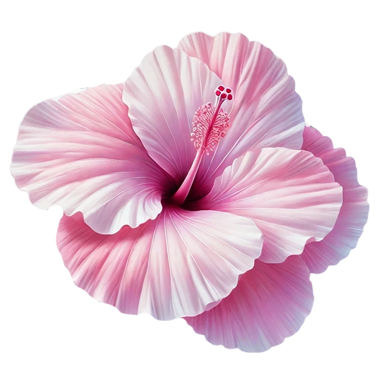 Pink Hibiscus Flower Closeup Vinyl Sticker Decal