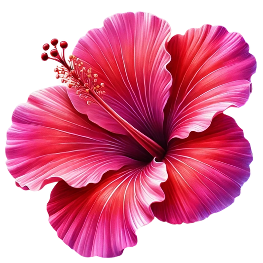 Red Pink Hibiscus Tropical Flower Vinyl Sticker Decal