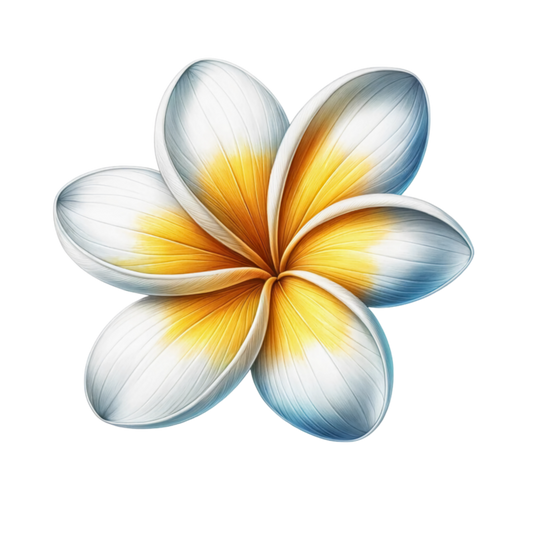 White Yellow Blue Petal Flower Vinyl Sticker Decal