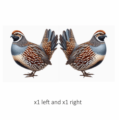 Brown Quail Bird Bobwhite Species Vinyl Sticker Decal