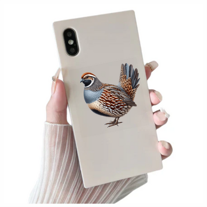 Brown Quail Bird Bobwhite Species Vinyl Sticker Decal