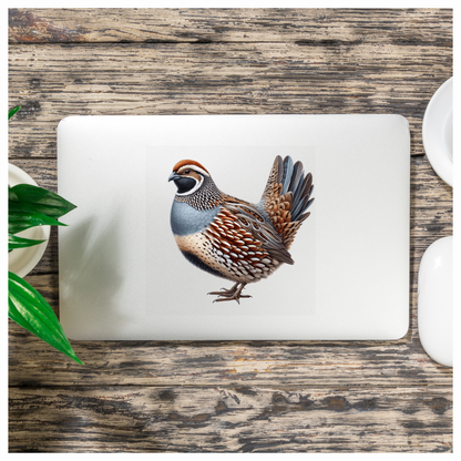 Brown Quail Bird Bobwhite Species Vinyl Sticker Decal