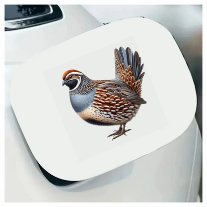 Brown Quail Bird Bobwhite Species Vinyl Sticker Decal