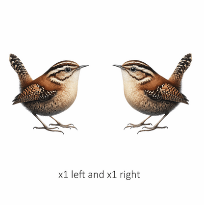Brown Wren Small Bird Forest Vinyl Sticker Decal