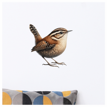 Brown Wren Small Bird Forest Vinyl Sticker Decal