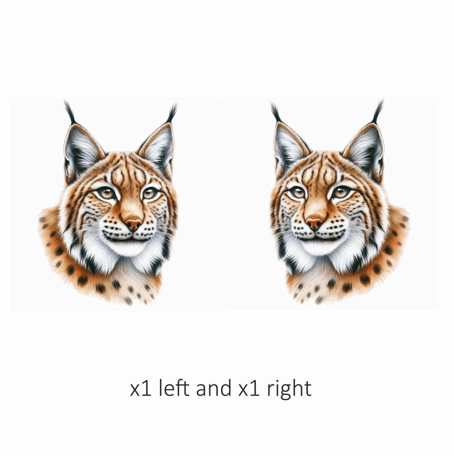 Brown Lynx Wildcat Realistic Art Vinyl Sticker Decal