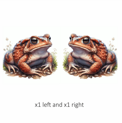 Orange Toad Rocky Ground Nature Vinyl Sticker Decal