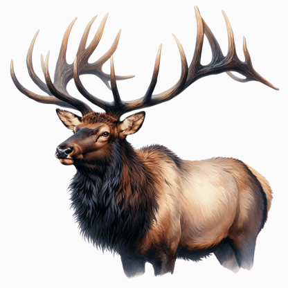 Elk Brown Antlers Fur Animal Vinyl Sticker Decal