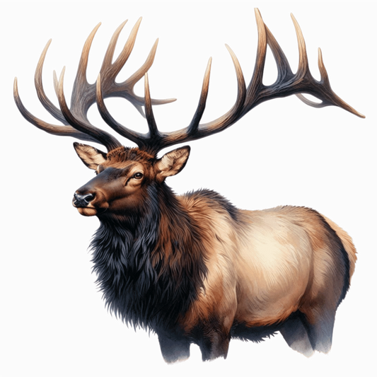 Elk Brown Antlers Fur Animal Vinyl Sticker Decal